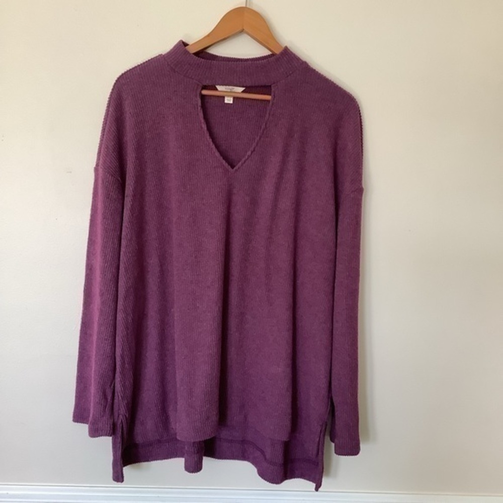 Sweater plus size NWOT